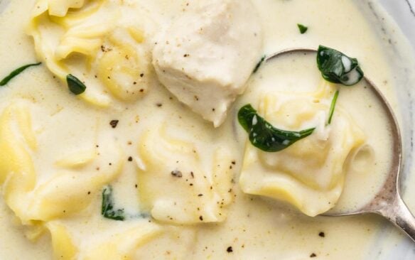 instant pot chicken tortellini alfredo soup close up